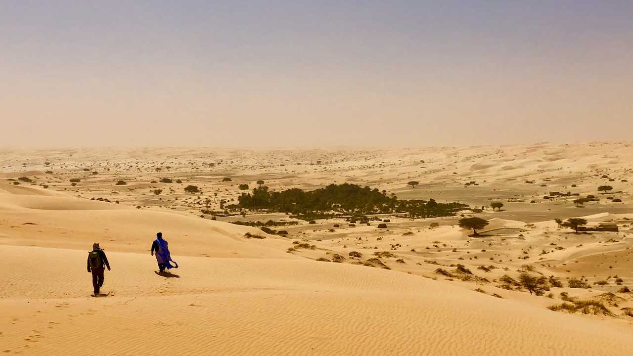 Arrivée sur l'oasis de Lagueila, Mauritanie