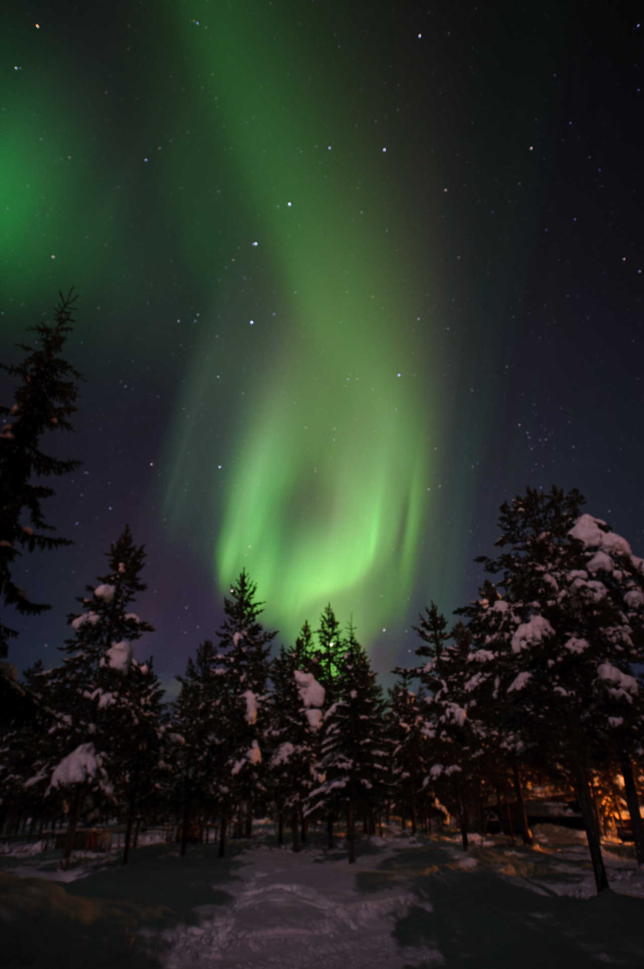 Aurores boréales en Laponie suédoise