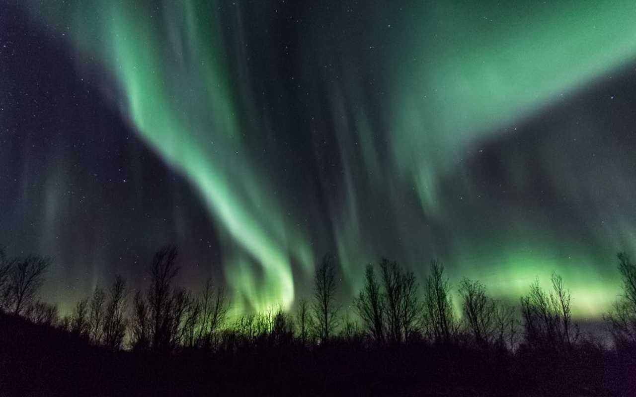 Aurores boréales en Norvège du Nord