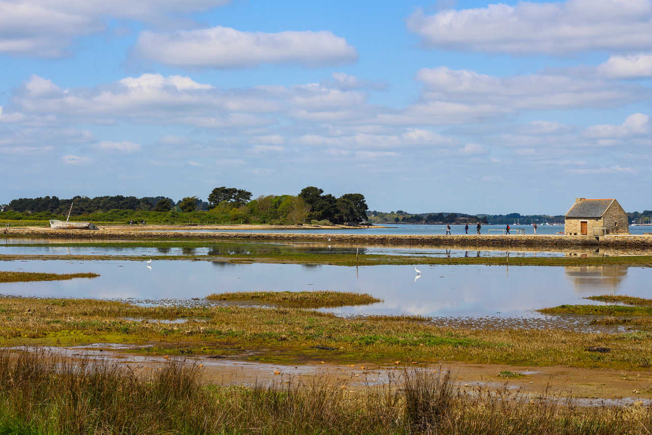 Baie intérieure sur l'île d'Arz à marée basse, Golfe du Morbihan ,Bretagne sud