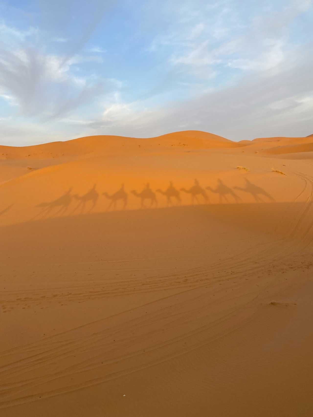Balade à dos de chameau dans les dunes de Merzouga au Maroc