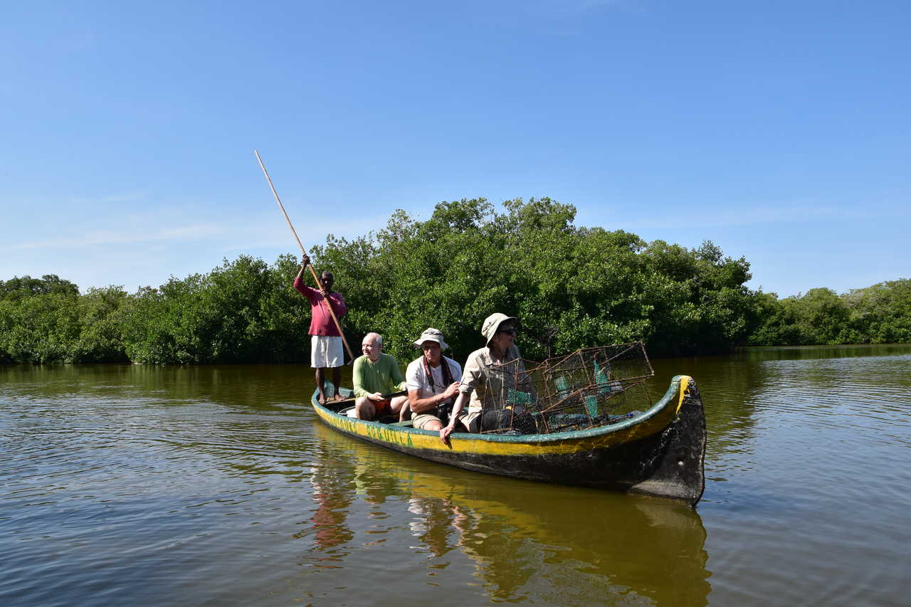 Balade en canoë à la Boquilla