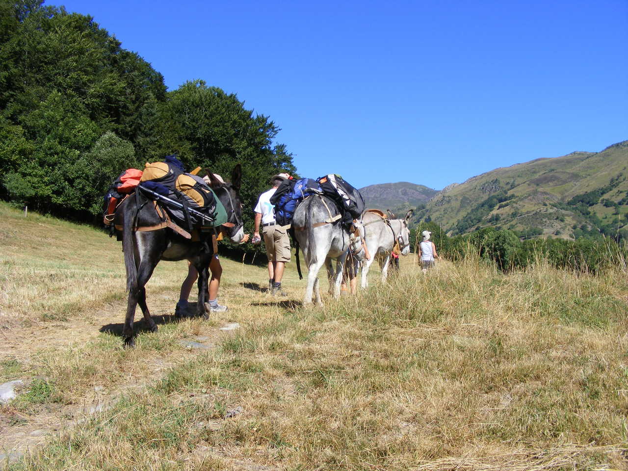 Balade en familles avec les ânes dans les Pyrénées, Luchon