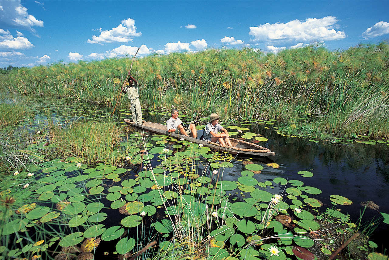Balade en mokoro dans le delta de l'Okavango au Botswana