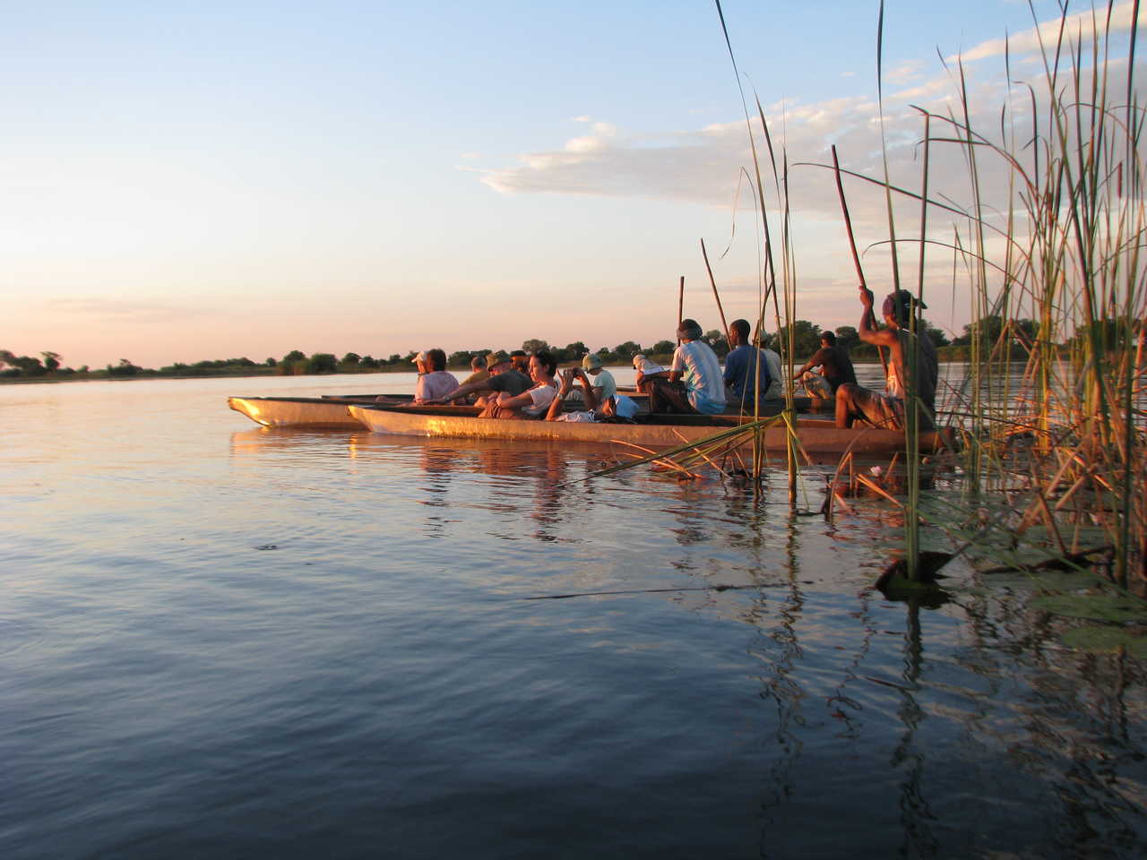 Balade en pirogue traditionnelle au Botswana
