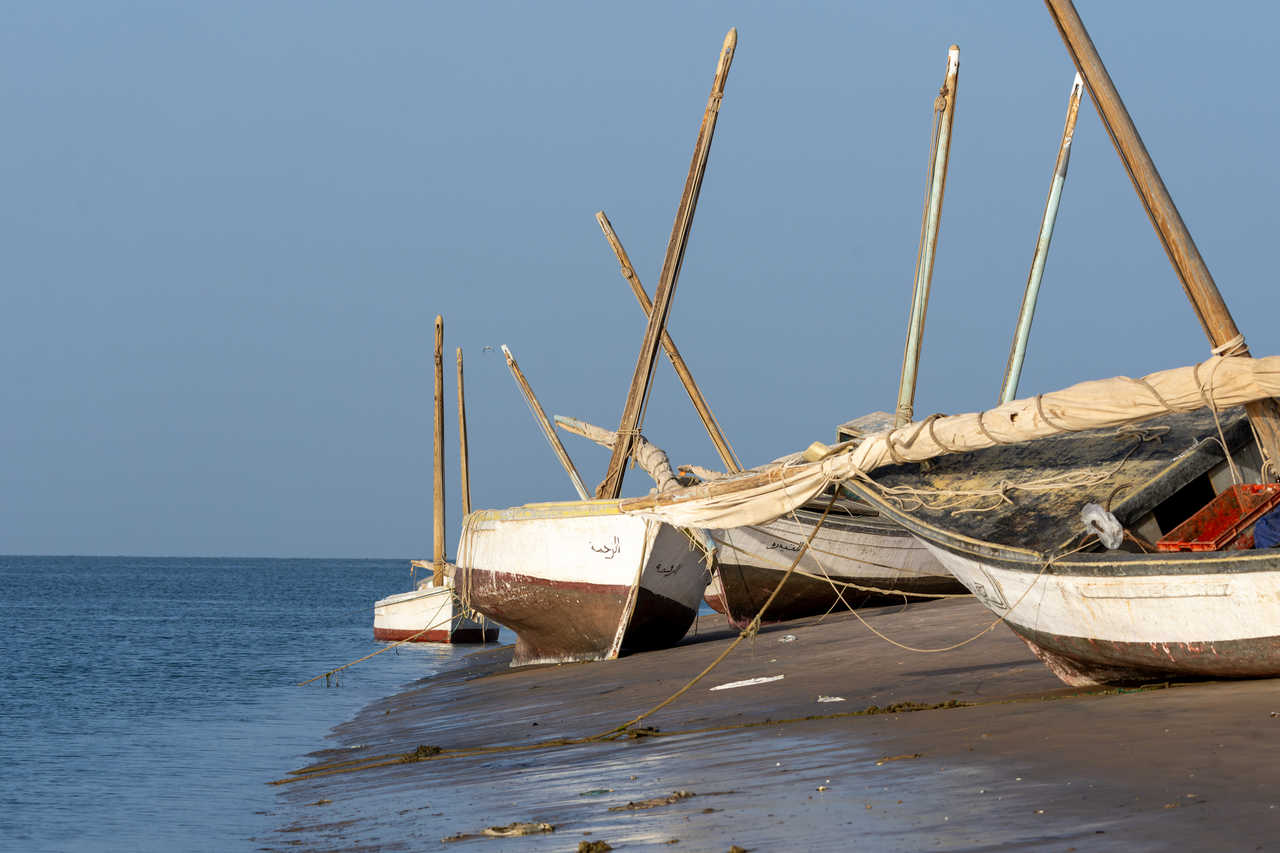 barques au bord du banc d'Arguin en Mauritanie