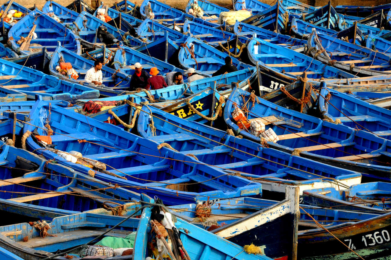 Barques bleues dans le port d'Essaouira, Maroc