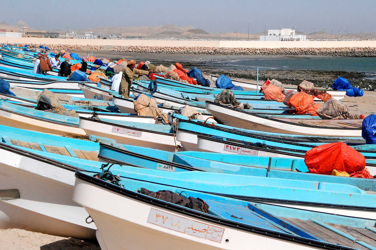 Barques de pêche, Oman