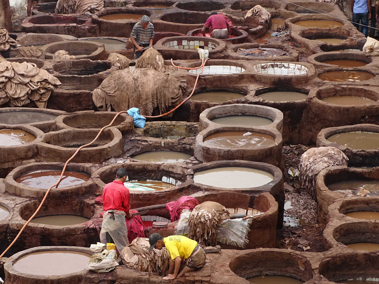 Bassins des tanneurs, Fes, Maroc