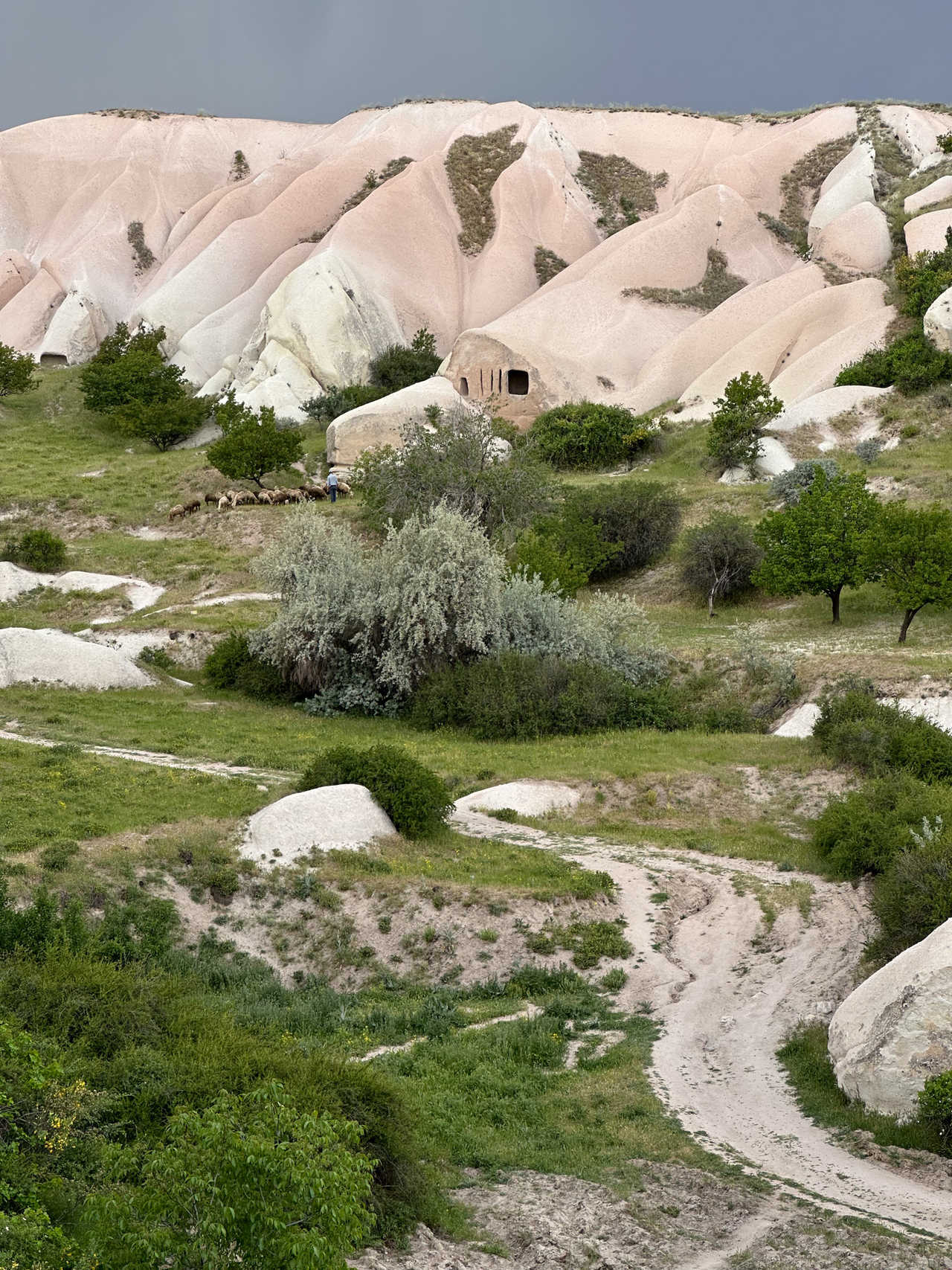 Berger avec un troupeau de moutons au loin dans la Vallée des pigeonniers en Turquie