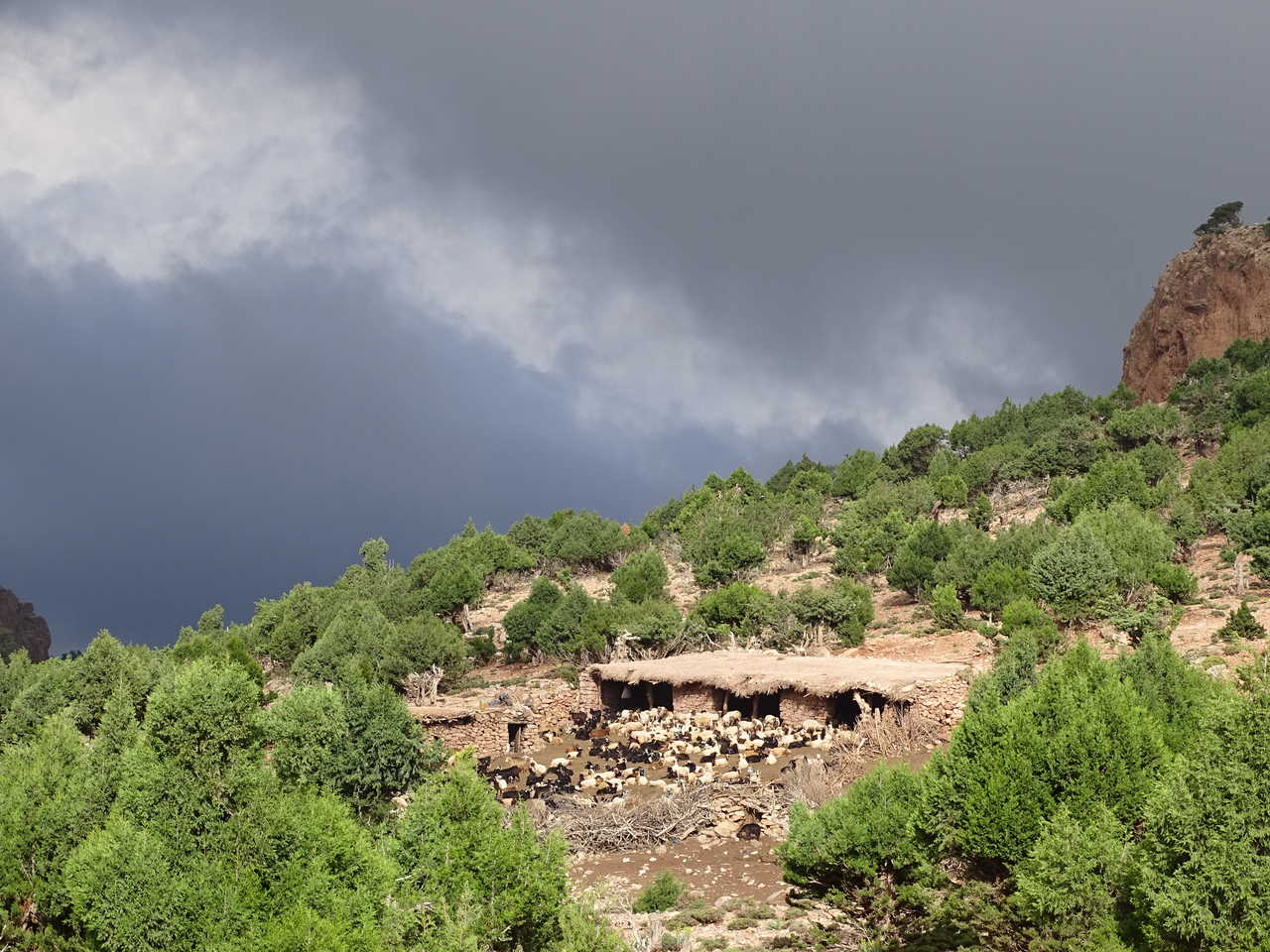 Bergerie, Haut Atlas Central, Maroc