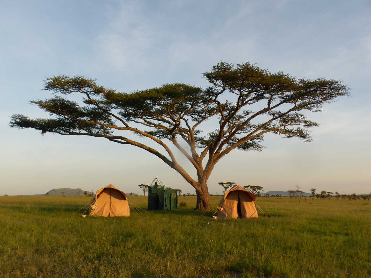 Bivouac privatisé sous un acacia au Serengeti