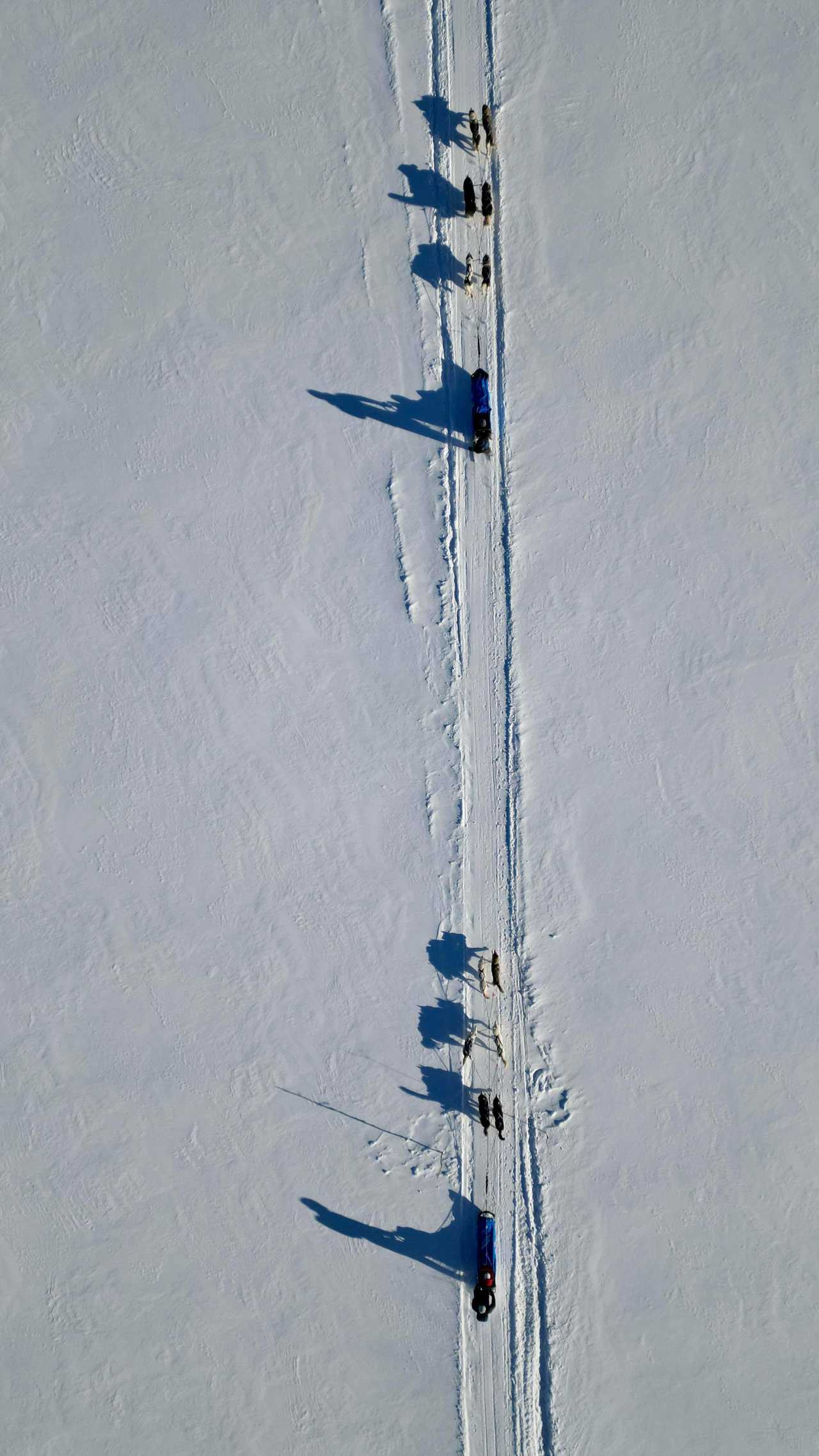 Camp taureau, Hiver, Québec, Chien de traineau, Motoneige