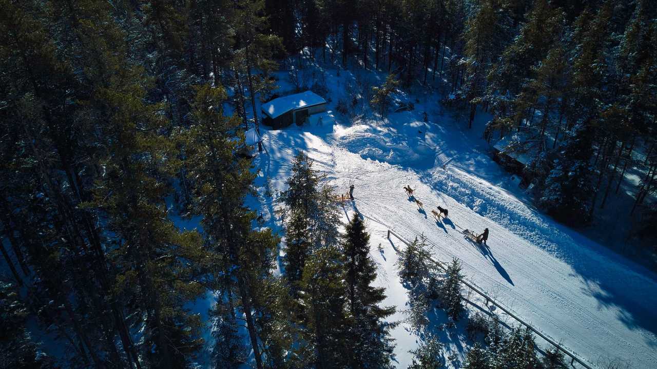 camp taureau quebec hiver traineau