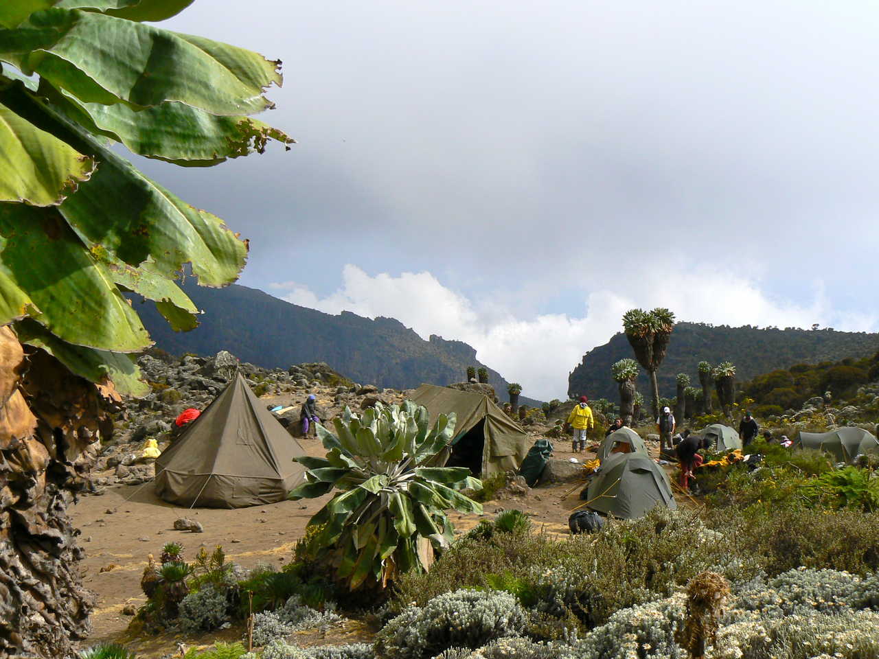 Campement sur le Kili