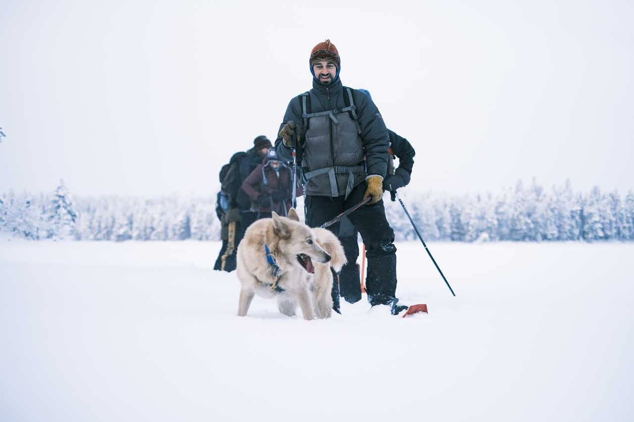 Cani-rando en Finlande l'hiver