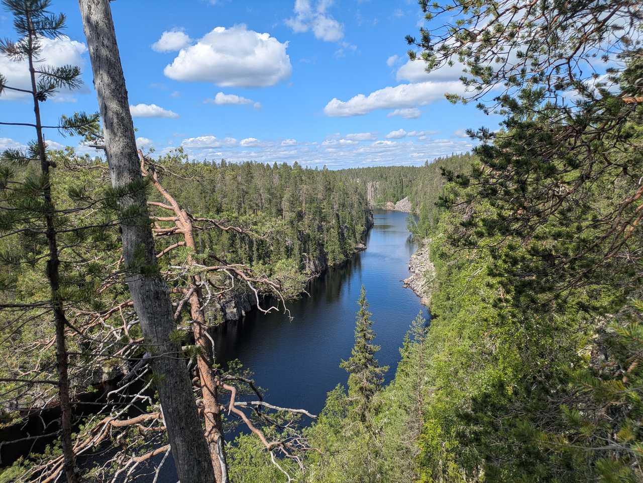 Canyon Julma Okky été