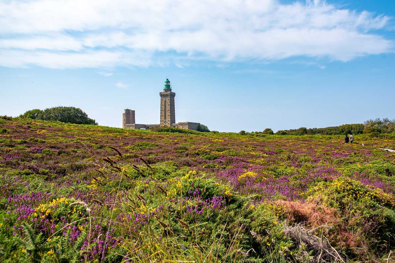 Cap Fréhel en Bretagne