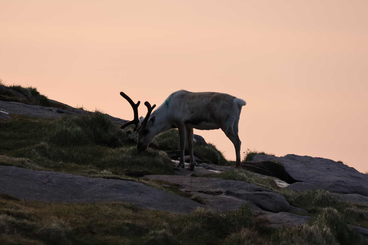 Cap Nord en Norvège