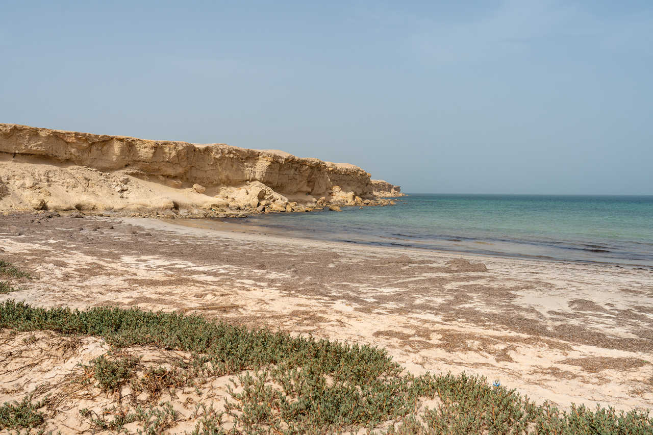 Cap Tafarit dans le parc national du banc d'Arguin en Mauritanie