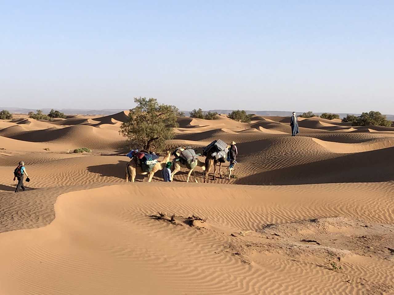 Caravane du Draa, Maroc