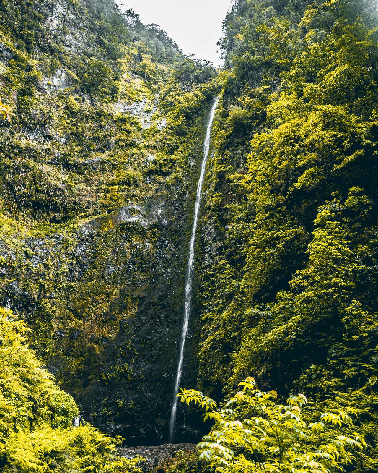 Cascade à Madère