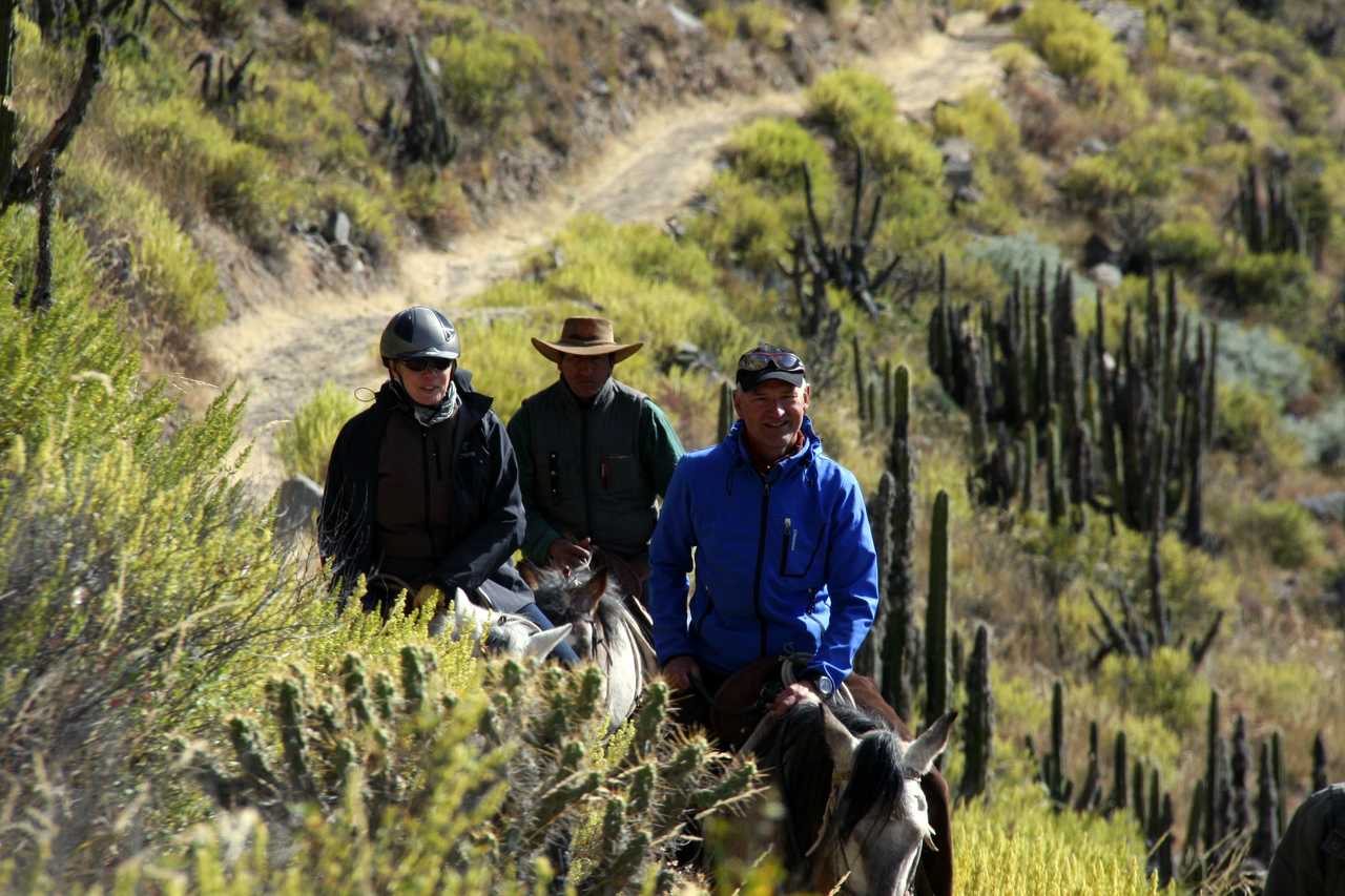 Cavaliers dans le Canyon de Colca