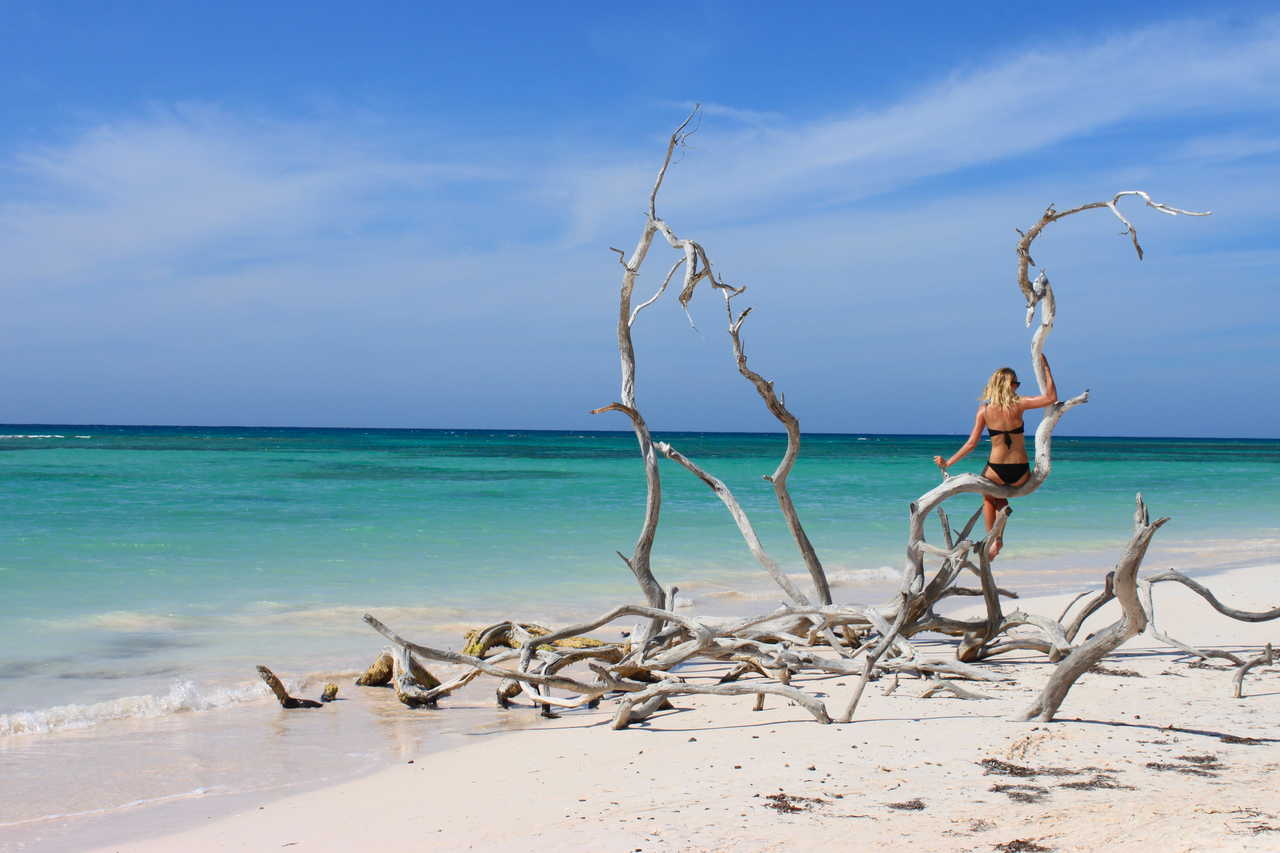 Cayo Jutias