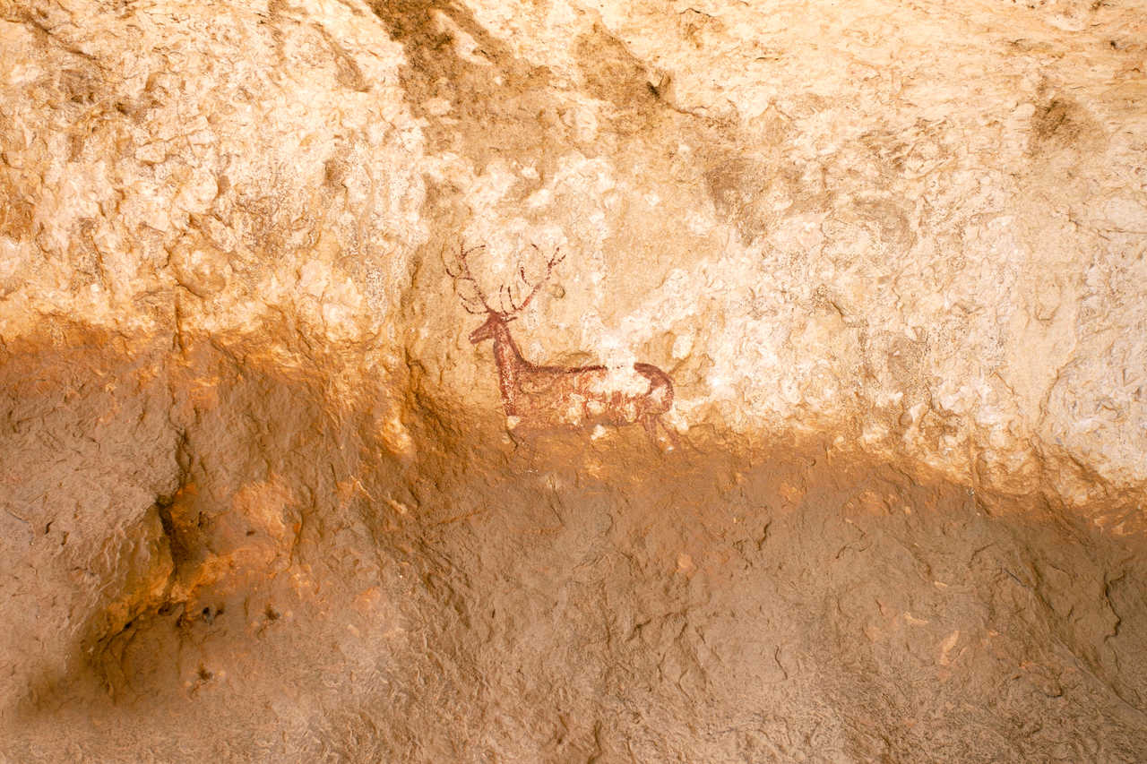 Cerf rupestre dans la grotte de Chimiachas, Sierra de Guara, Pyrenees espagnoles