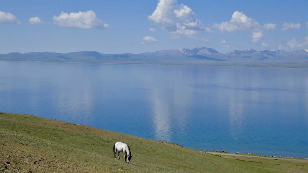 Cheval près du lac Song Kul