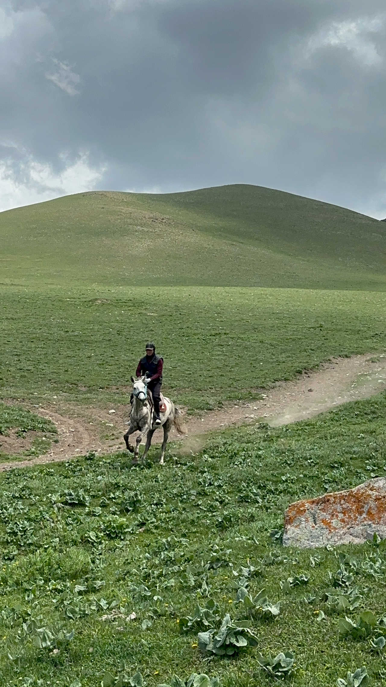 Cheval près du lac Song Kul