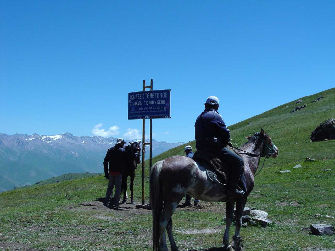 Chevaux au Kirghizistan