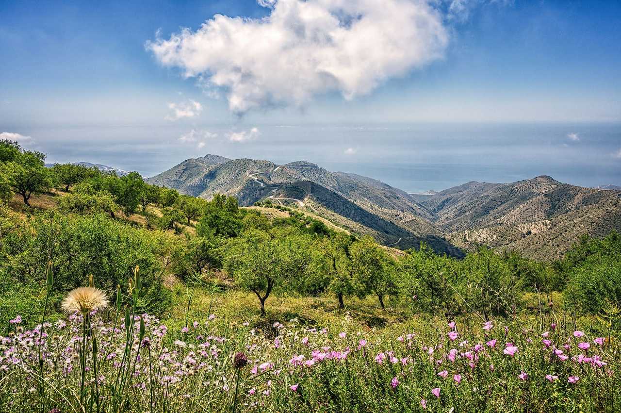 Collines andalouses lors d'une randonnée en Espagne