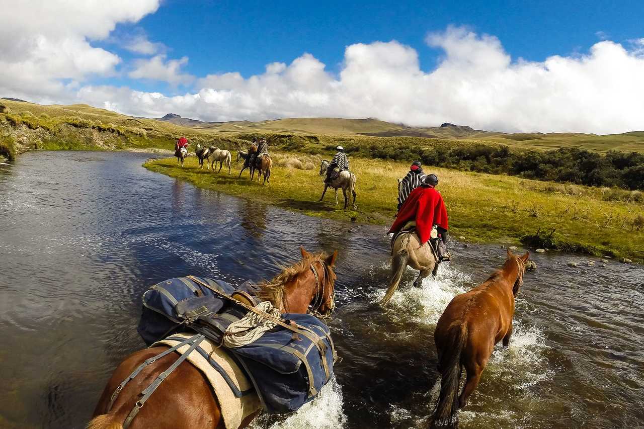 Colonne de chevaux avec bat au Chimborazo en Equateur