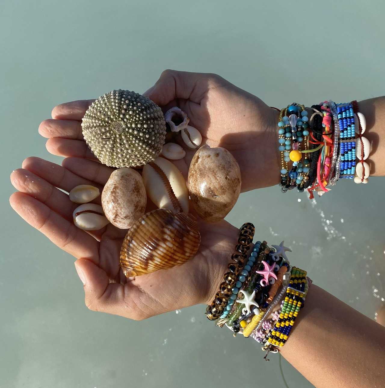 Coquillage dans les mains d'un enfant à Zanzibar