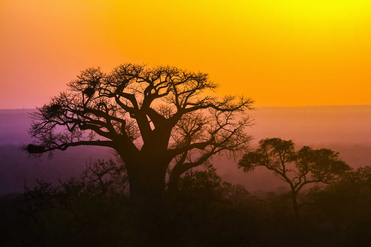 coucher de soleil dans la région du Limpopo