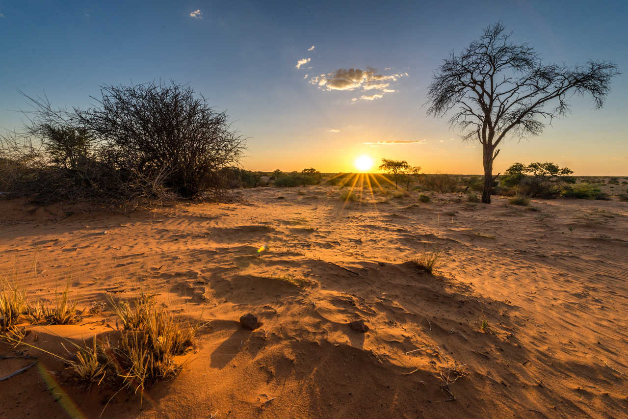 coucher de soleil dans le Kalahari