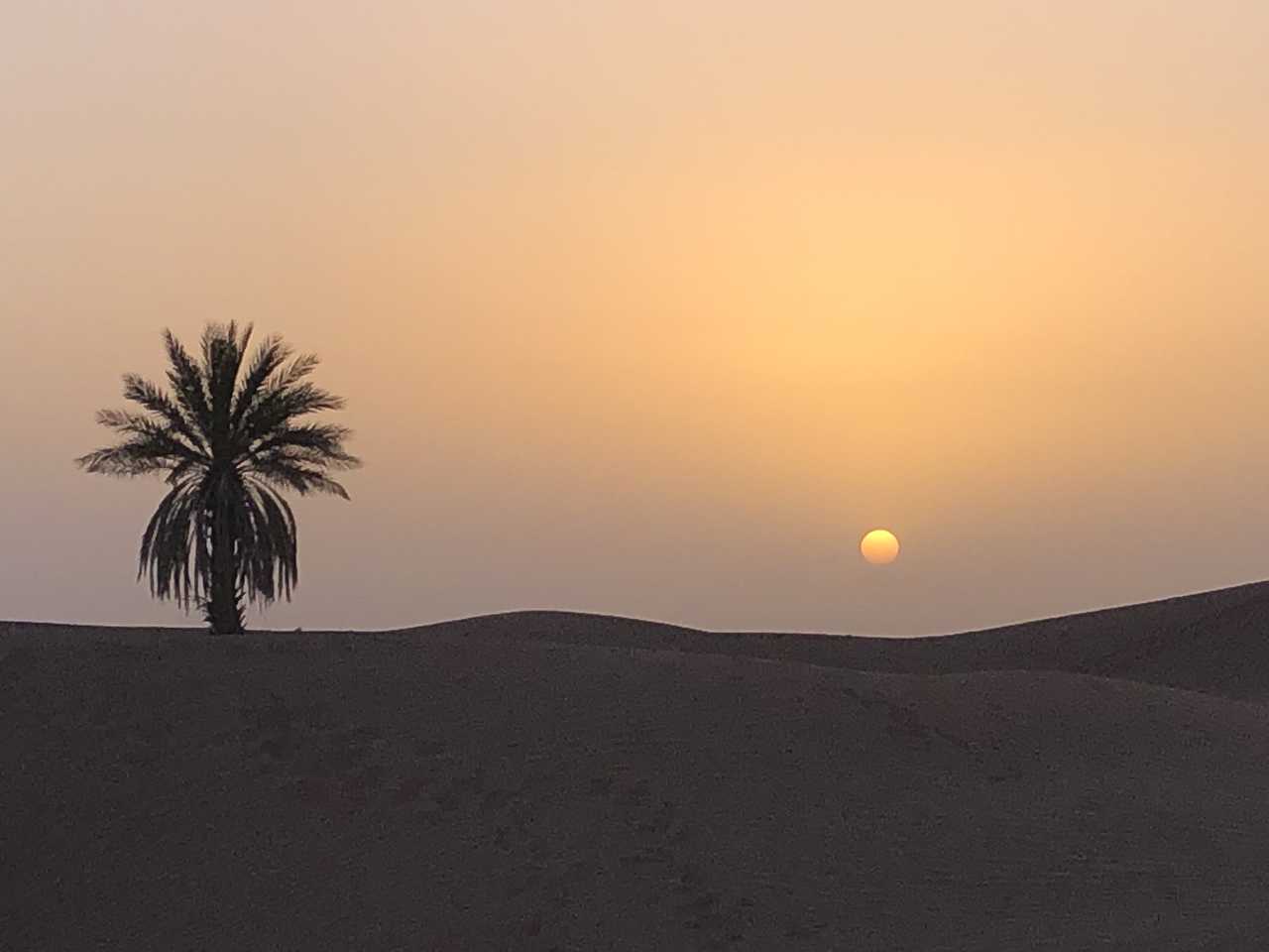 Coucher de soleil, Draa, Maroc
