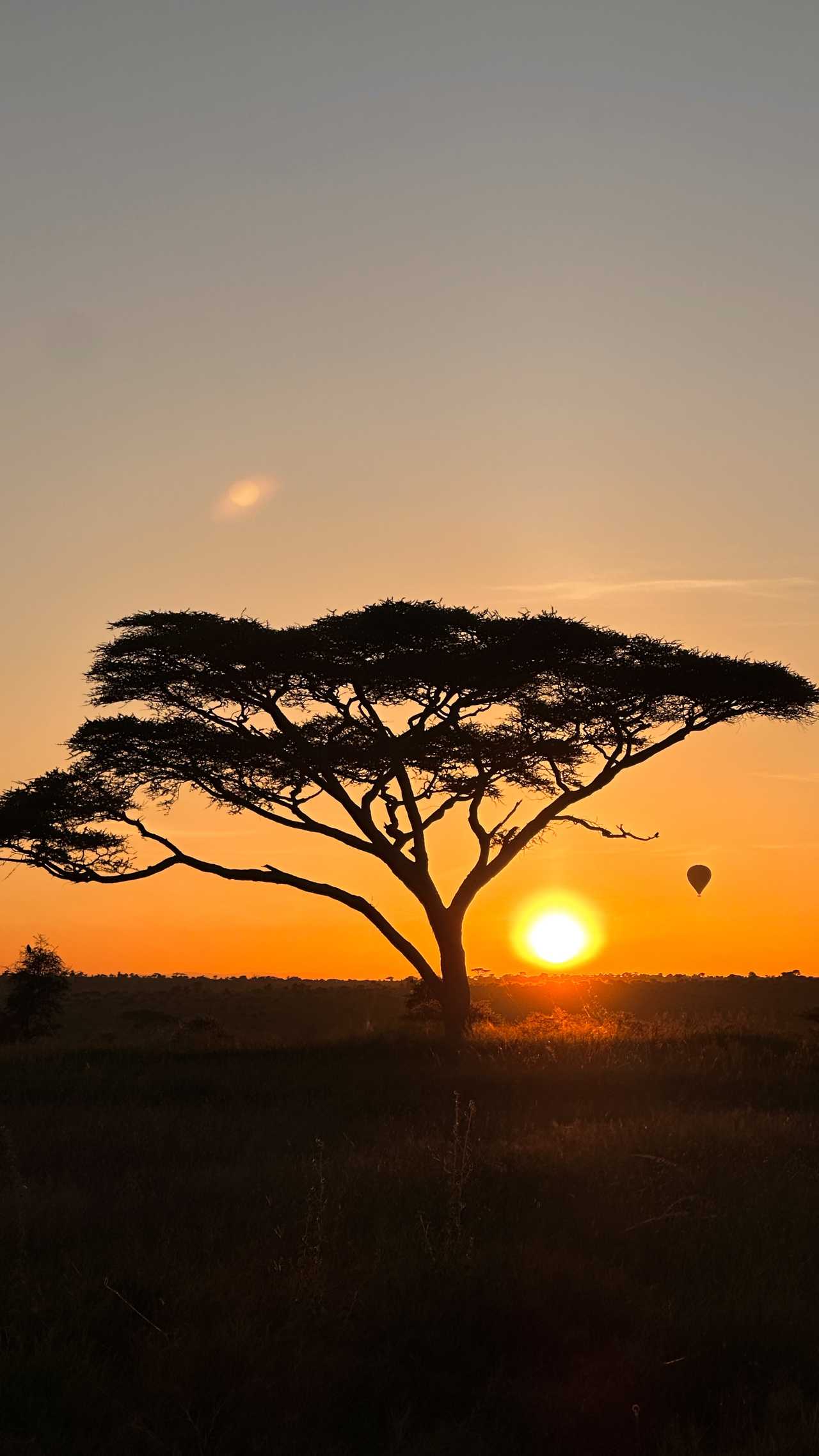 Coucher de soleil en Tanzanie