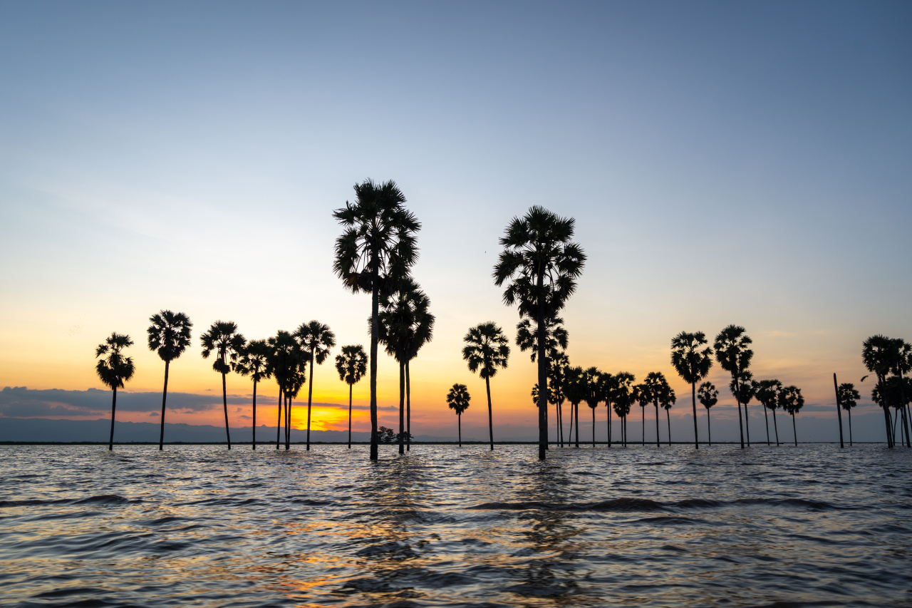 Coucher de soleil sur le lac Tempe