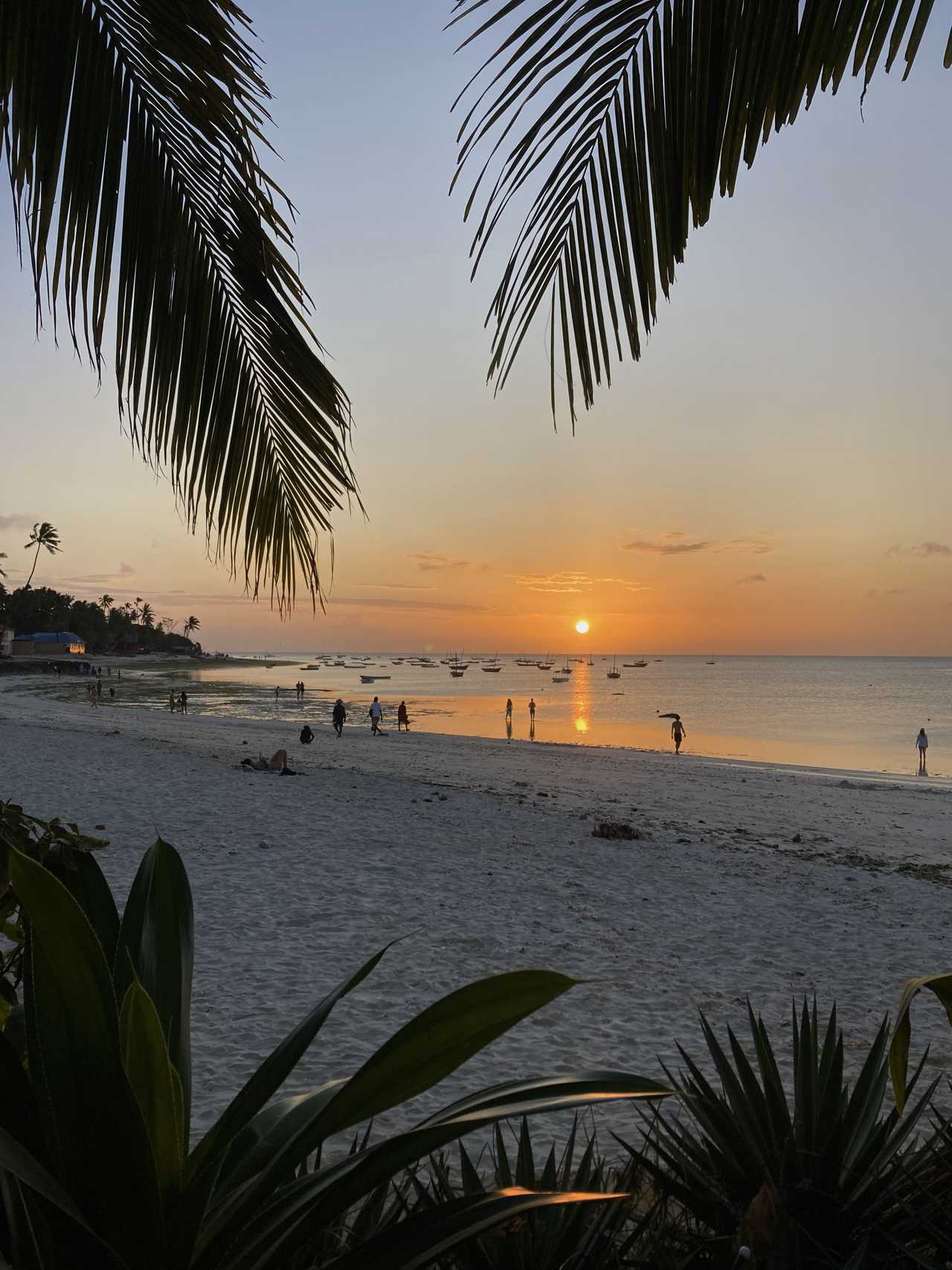 Coucher de soleil sur une plage paradisiaque à Zanzibar