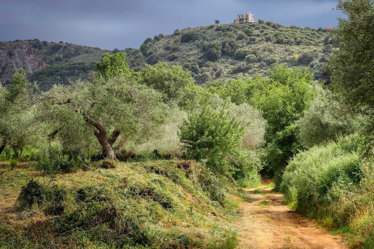 Image La Crète orientale, entre nature et traditions