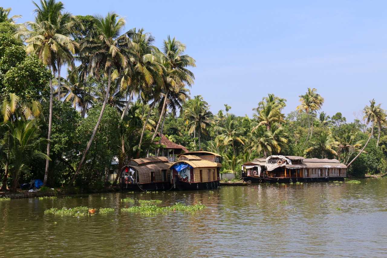 backwaters, croisière, Inde du sud, Kerala