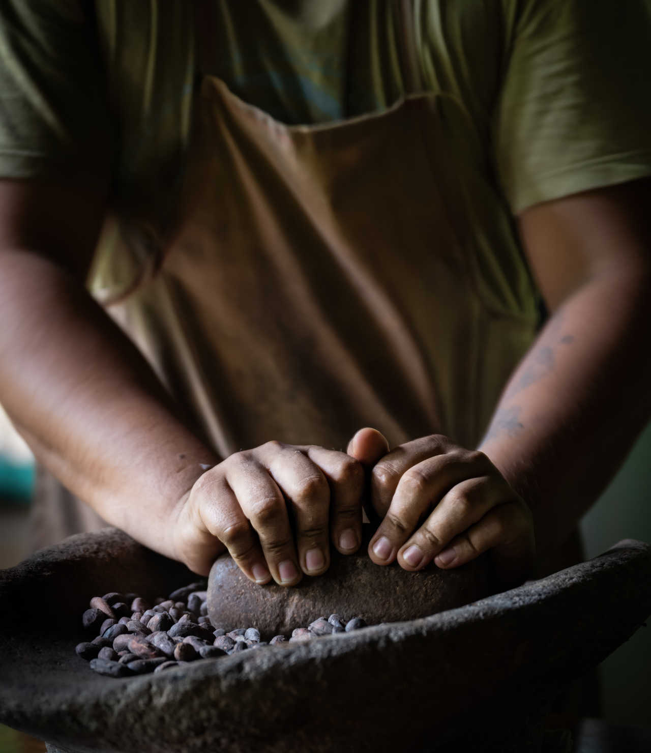 Culture du cacao au Costa Rica