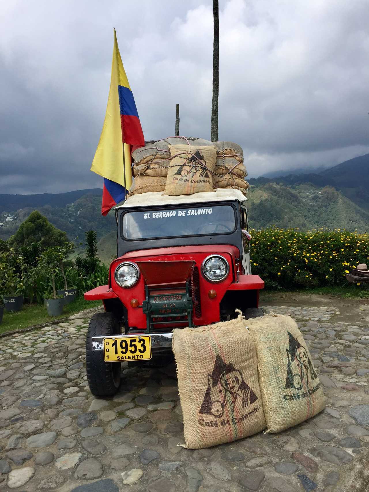 Culture du café, Vallée de Cocora