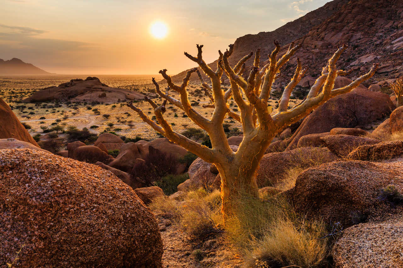 Damaraland