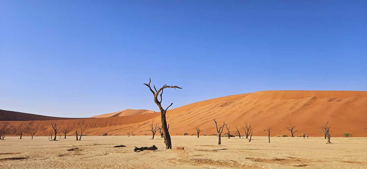 Dead Vlei en Namibie