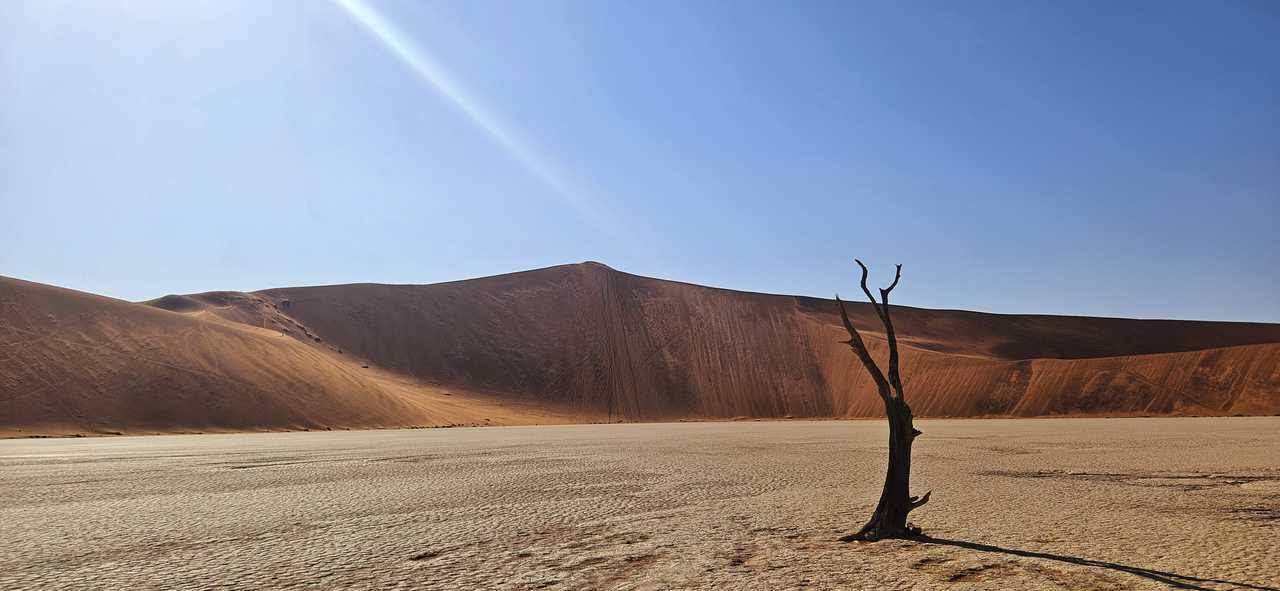 Dead Vlei en Namibie
