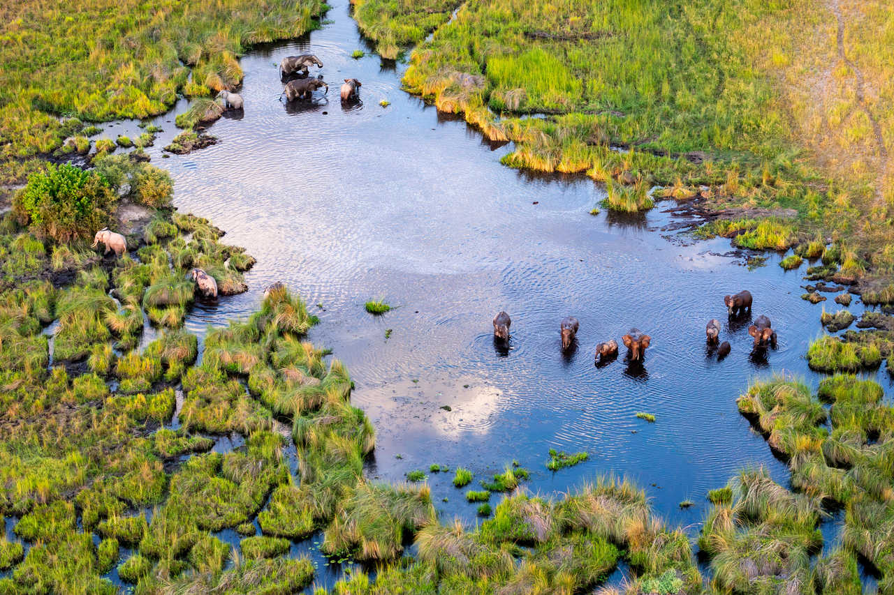 Delta Okavango au Botswana
