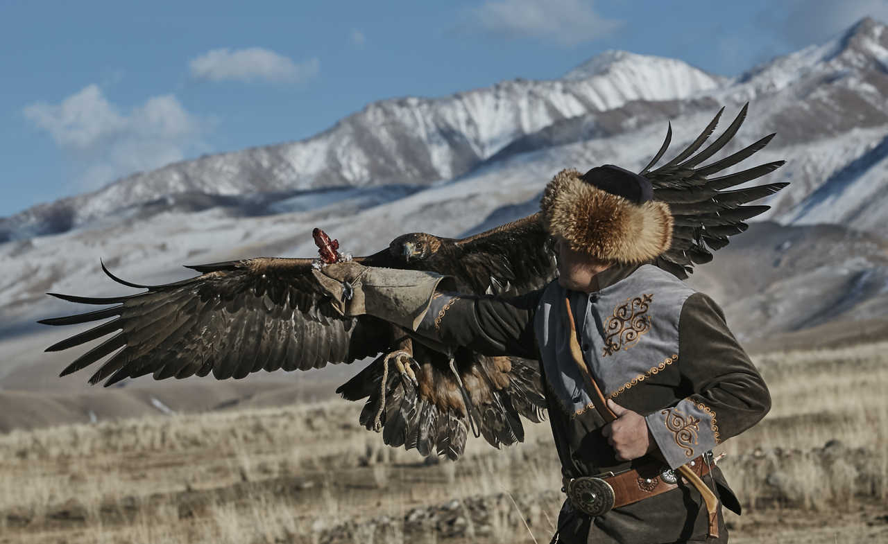 Démonstration de chasse à l’aigle